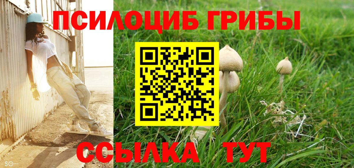 Галлюциногенные грибы Psilocybine cubensis  Галлюциногенные грибы Psilocybine cubensis  Вход с VPN  Новокубанск 